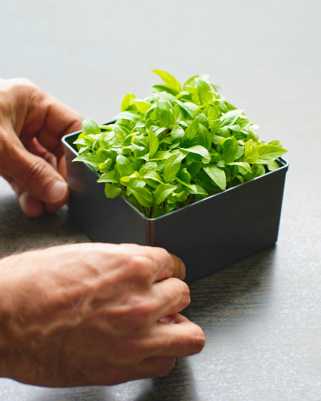 Ouiplant Pro