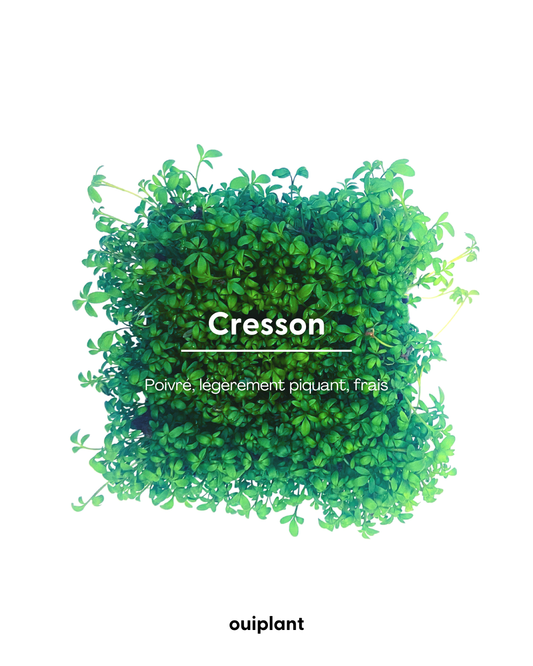 Cresson