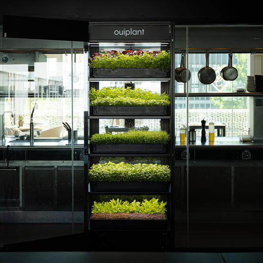 Ouiplant Pro