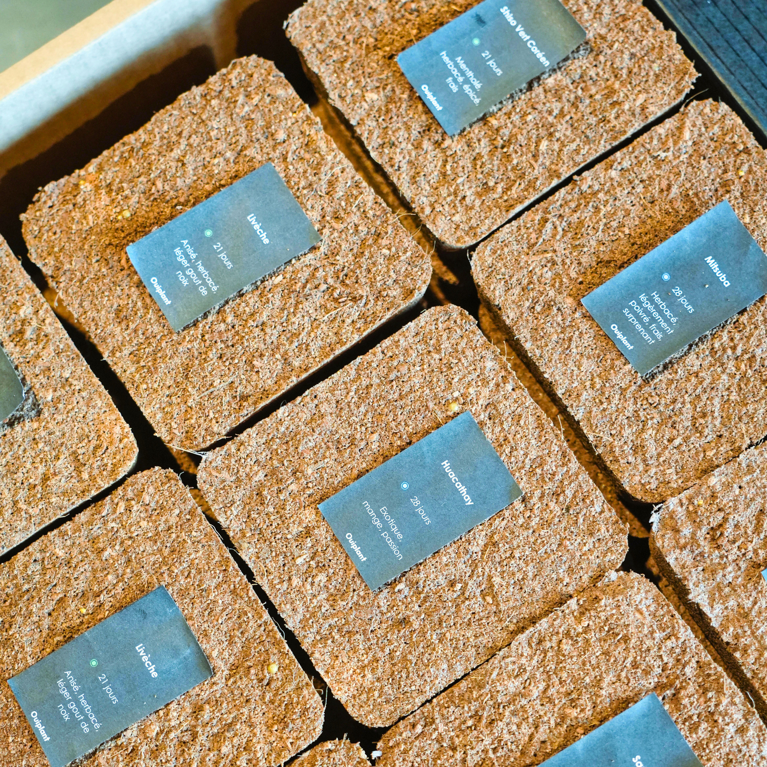 Toutes les recharges