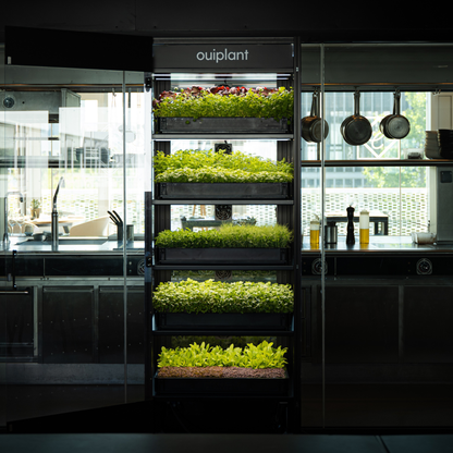 Ouiplant Pro